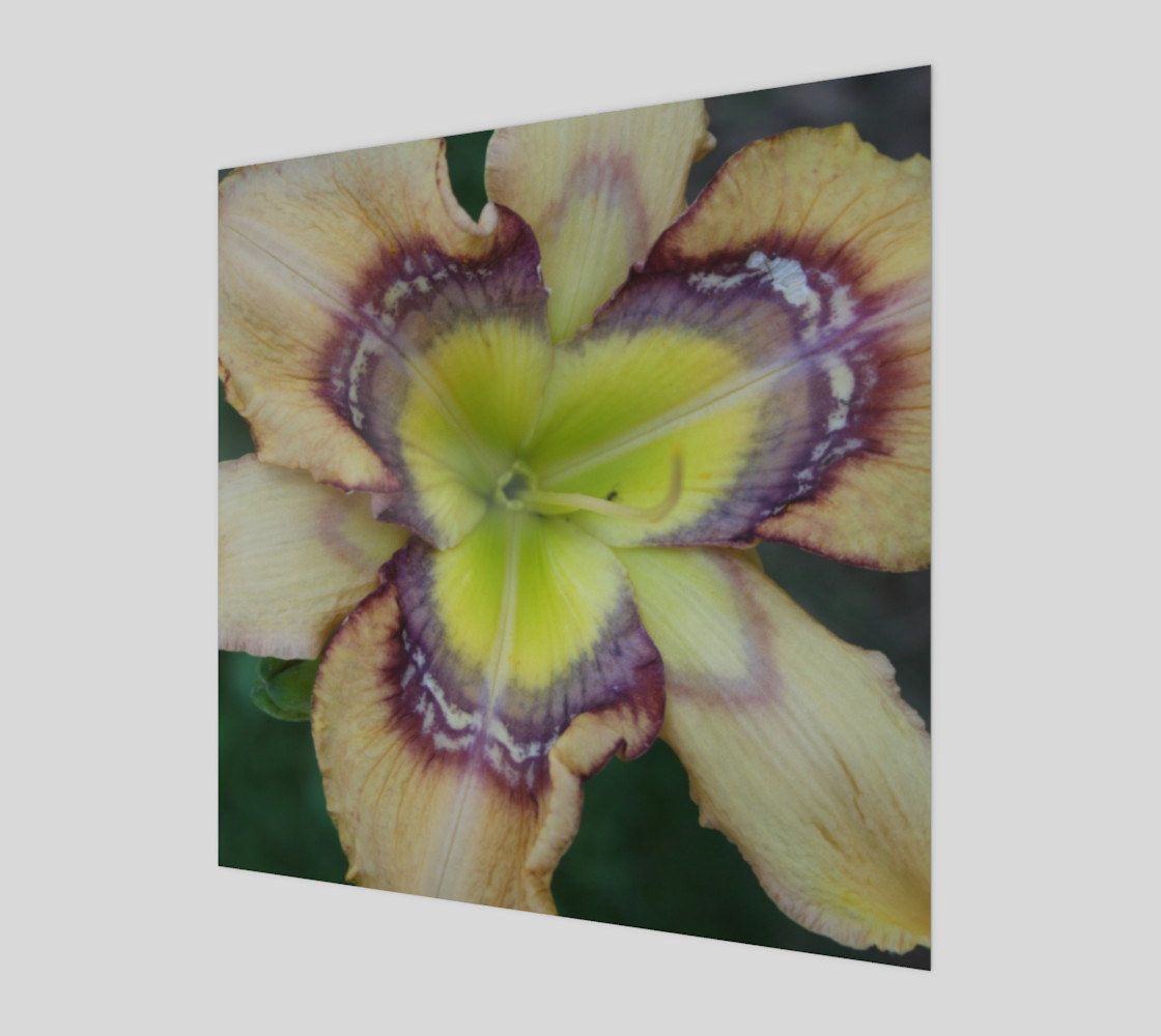 pollen swappers preview #1