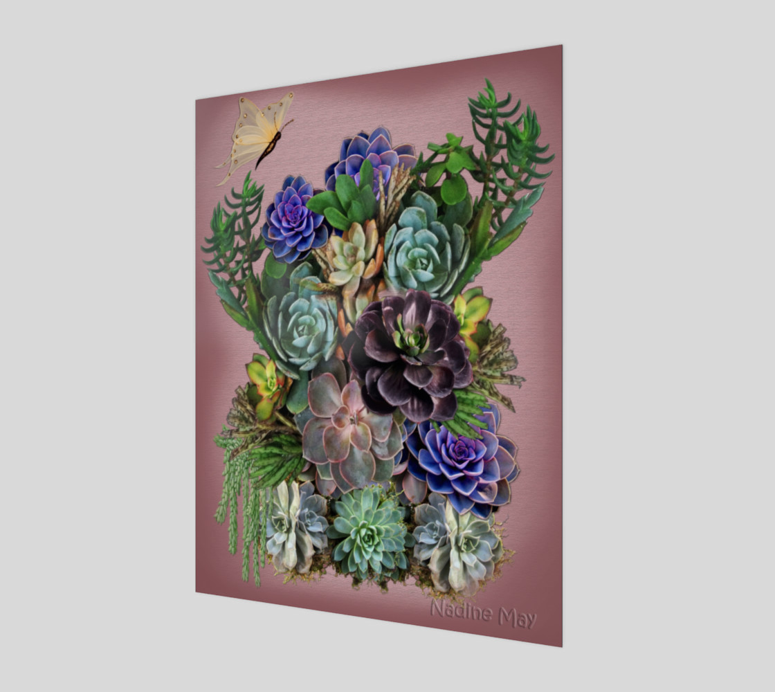 Succulents from my garden preview #1