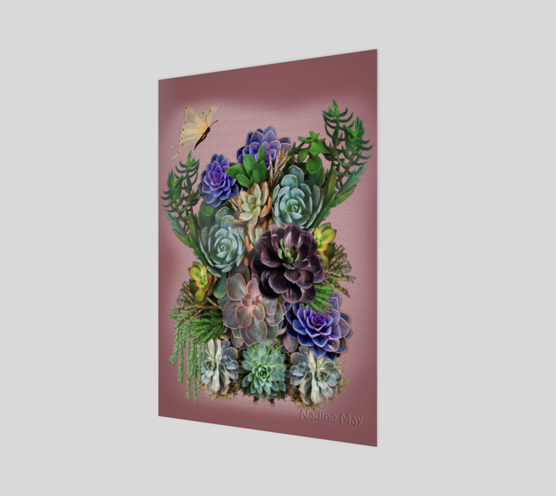 Succulents from my garden preview #1