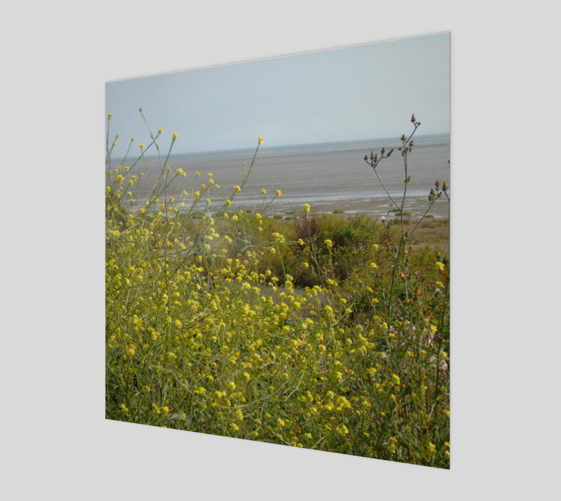 Pegwell preview #1