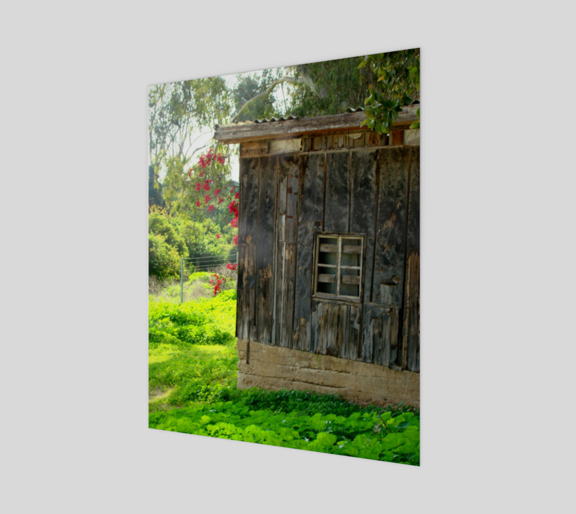 beautifulandold preview #1