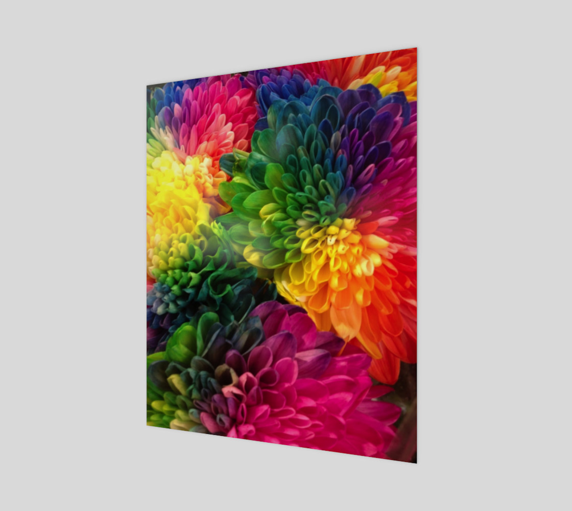 Rainbow Dahlias preview #1