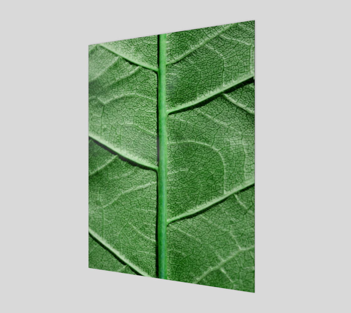 Veined Green Leaf preview #1