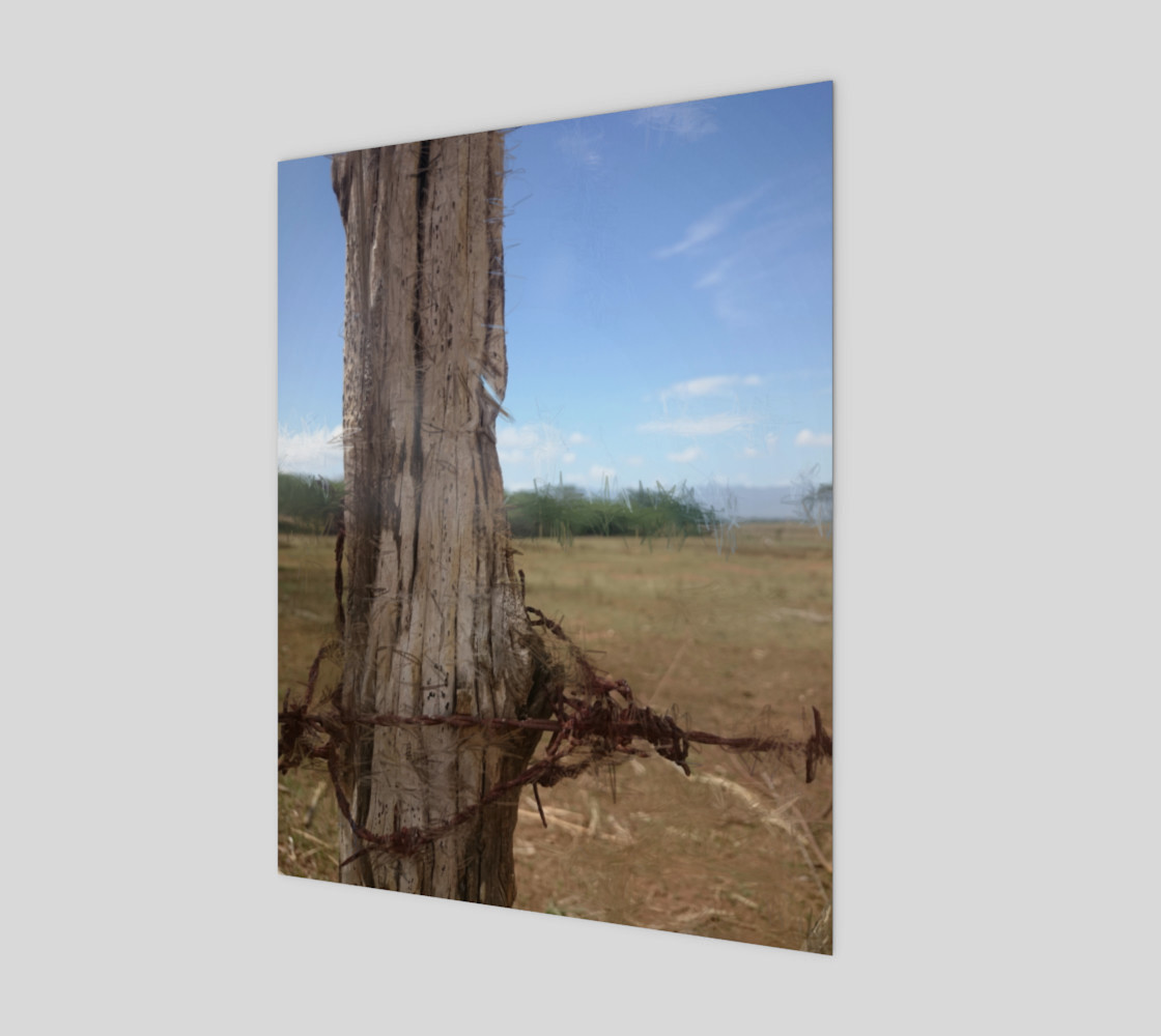 EverLua 11*14 artwork Nature wire preview #1