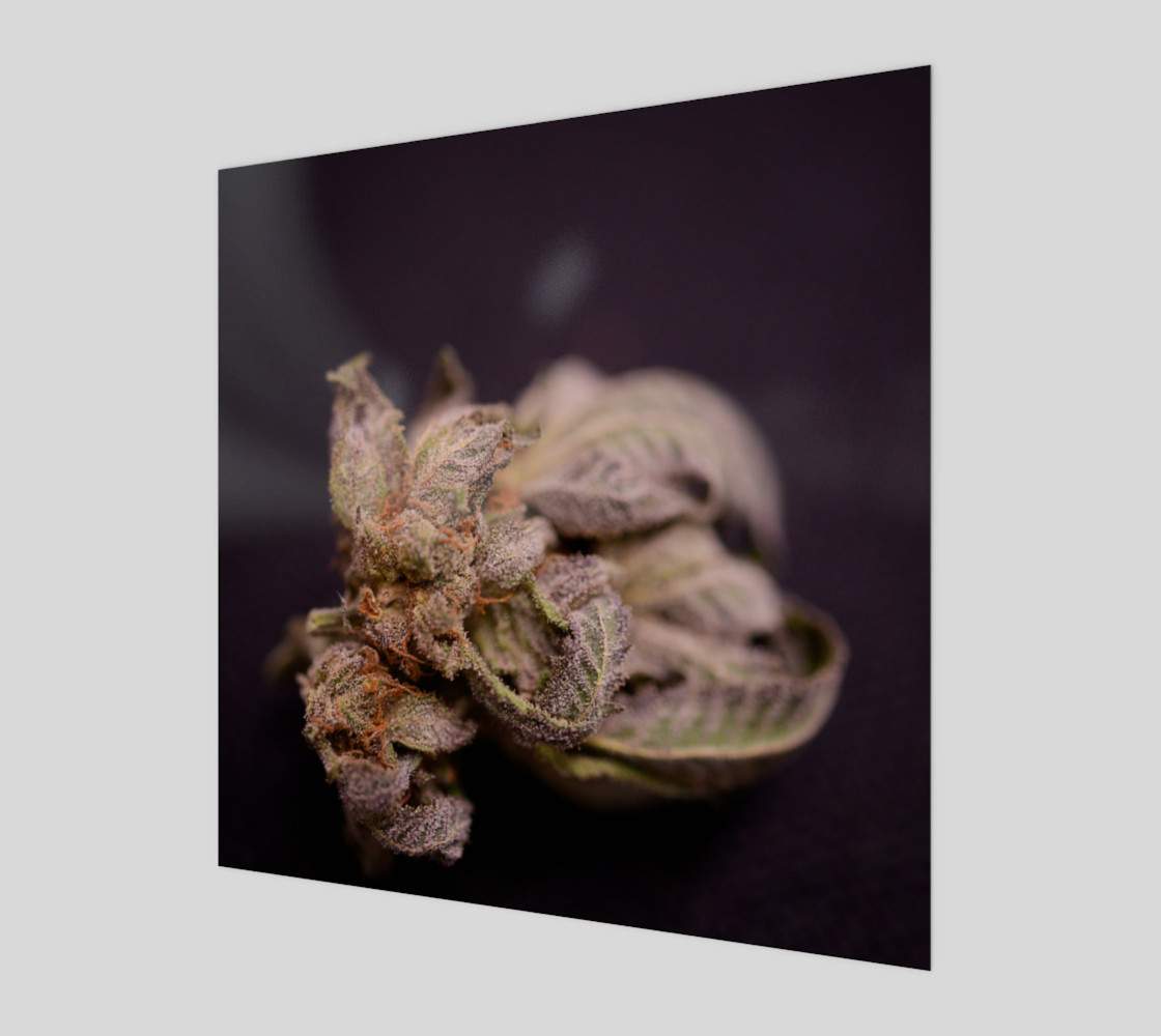 The Pot Factory Bham preview #1