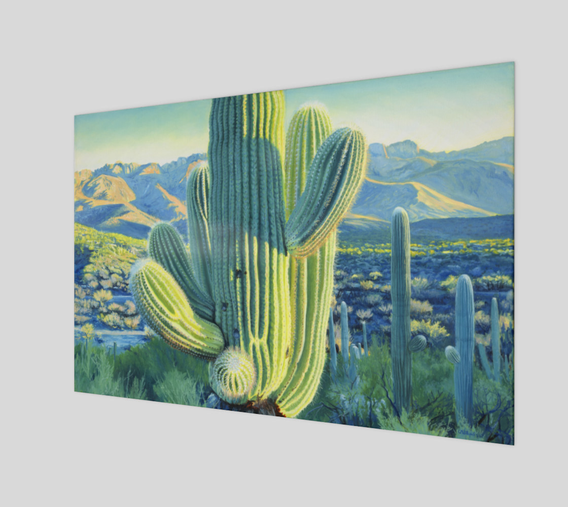 Saguaro 1 preview #1