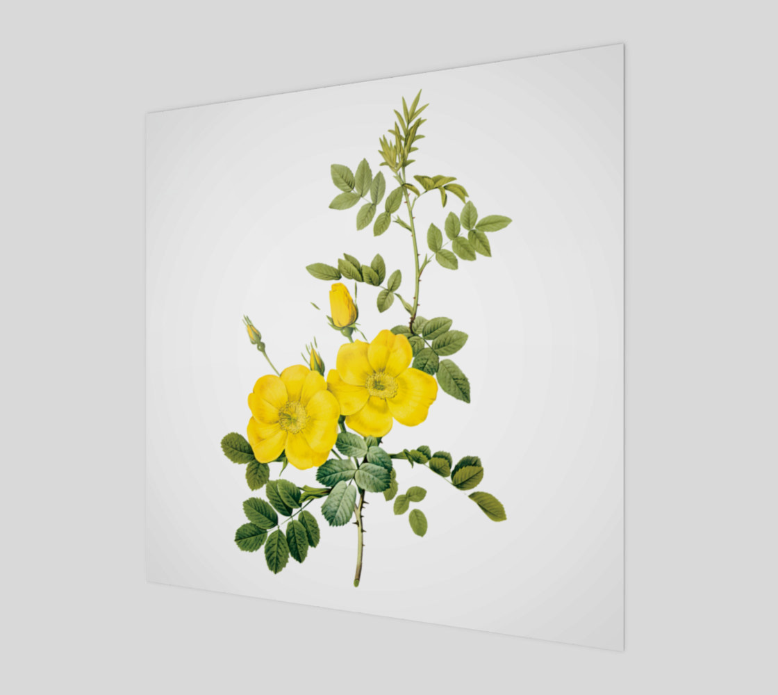 FF - Vintage - Flower - Yellow Rose 3D preview