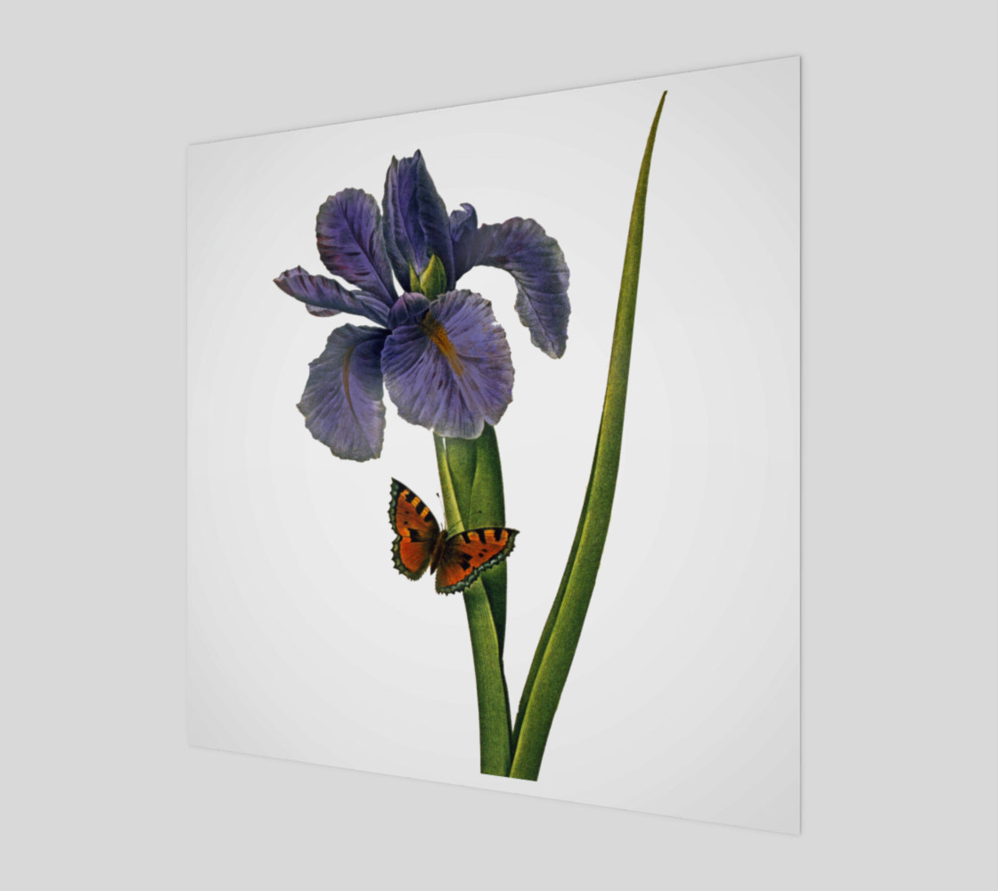 FF - Vintage Flower - Iris and Butterfly preview #1