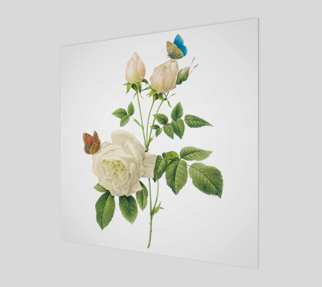 FF - Vintage Flower - White Rose - Butterflies 3D preview