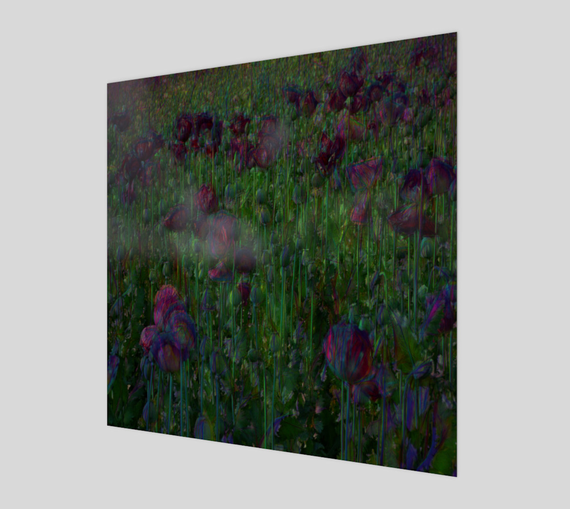 Poppy Meadow preview #1