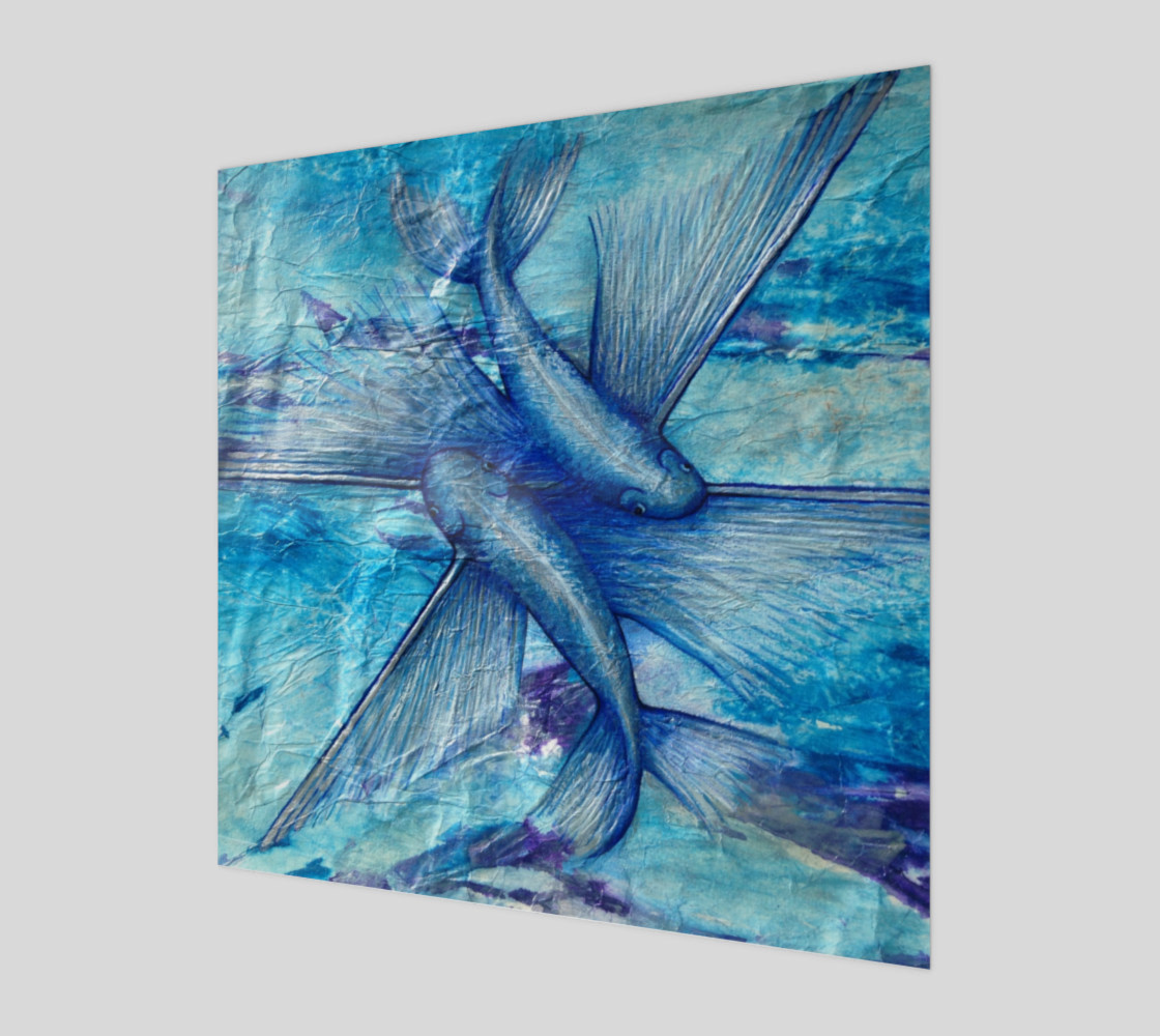 Catalina Flying Fish Art preview #1