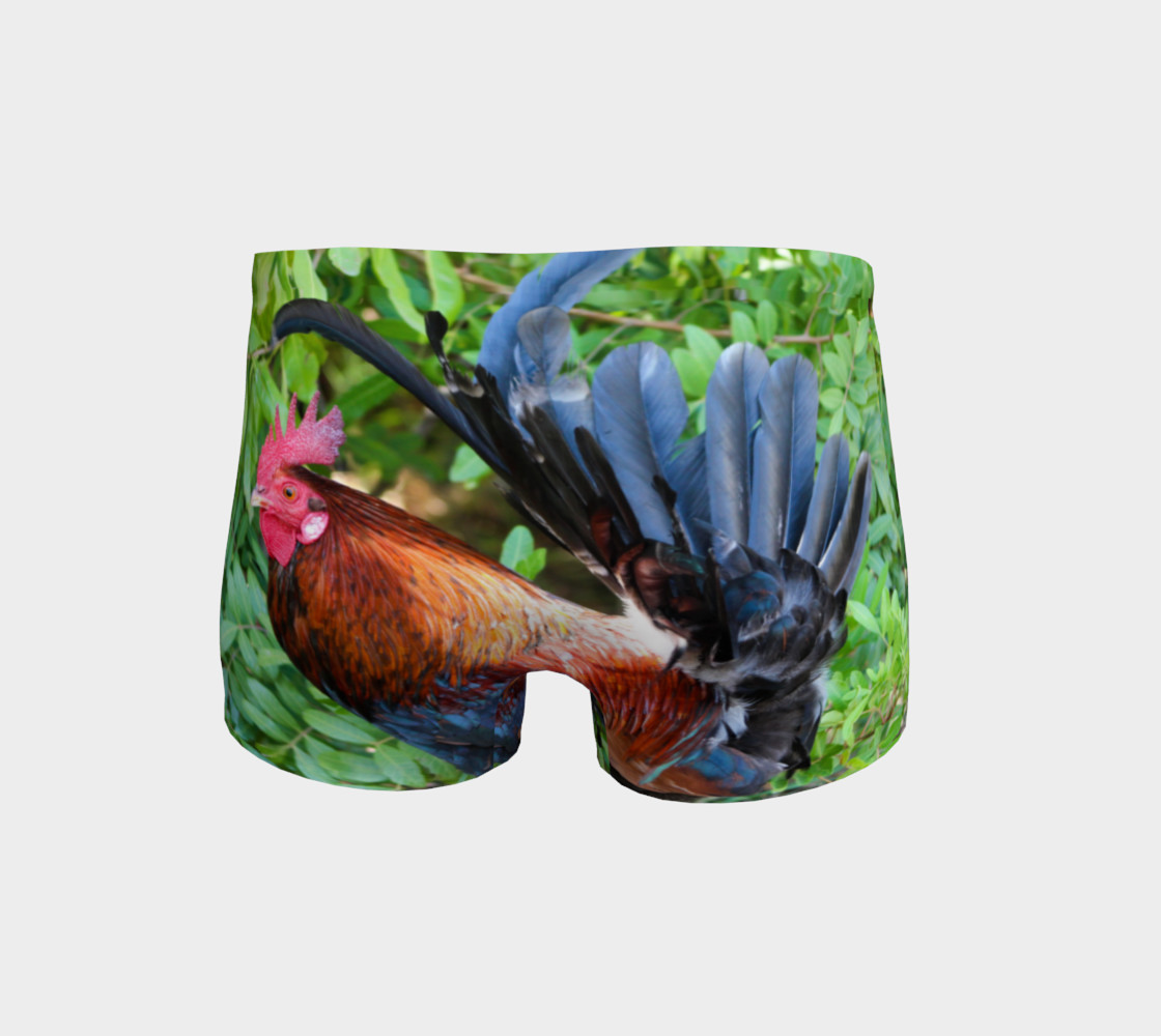 Rooster preview #4