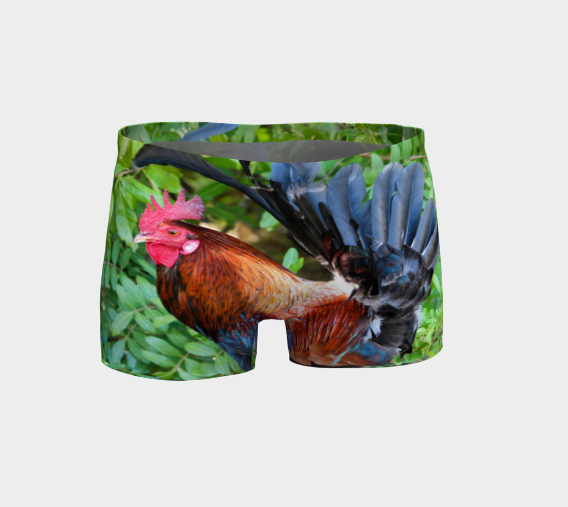 Rooster preview #1