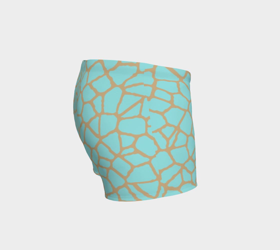 staklo (aqua/coffee) workout shorts preview #3