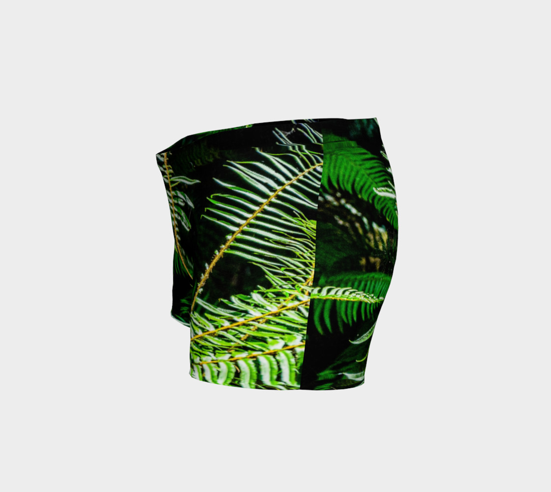 Rainforest Ferns preview #2