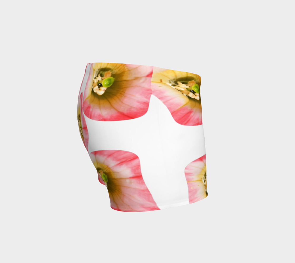 Pink Fancy preview #3