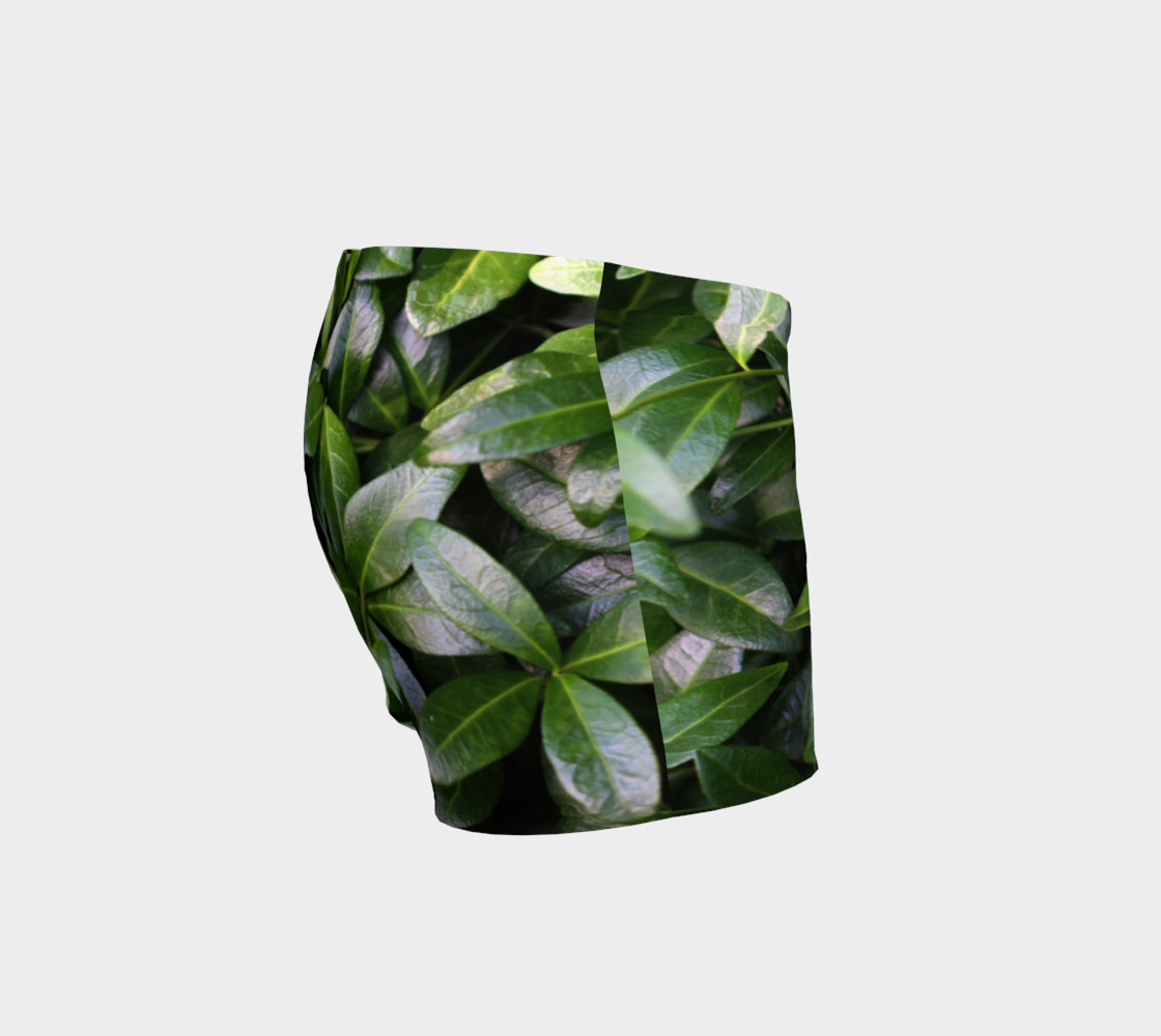 Periwinkle preview #3