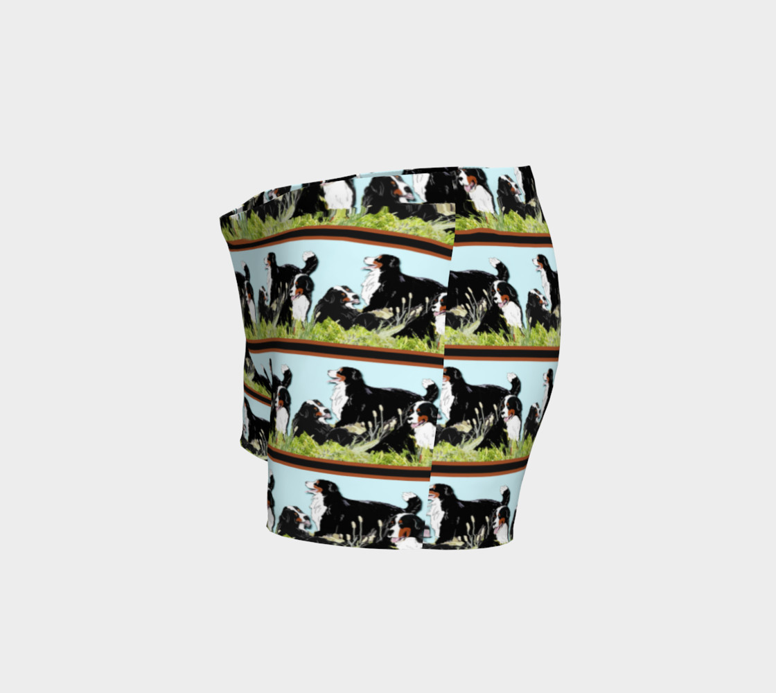 Bernese Mountain Dogs and grass thumbnail #3