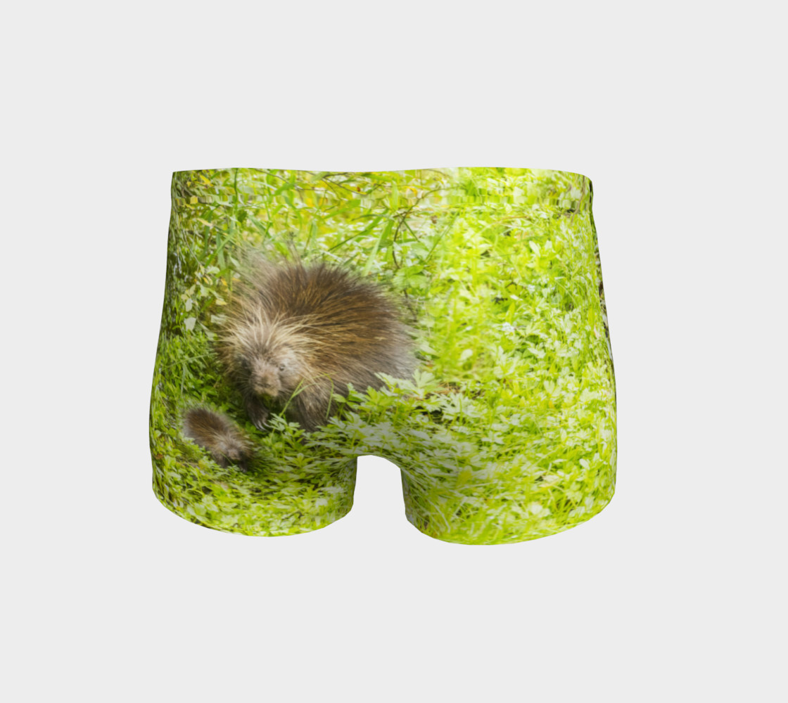 Porcupine preview #4