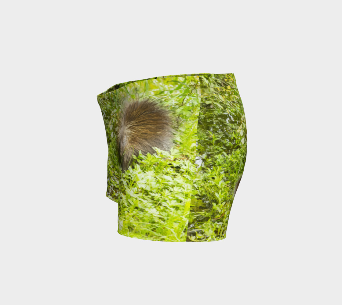 Porcupine preview #2