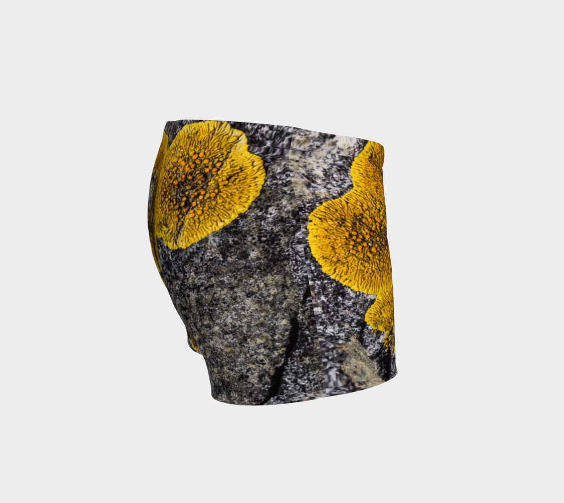 Lichen my Short Shorts! preview #3