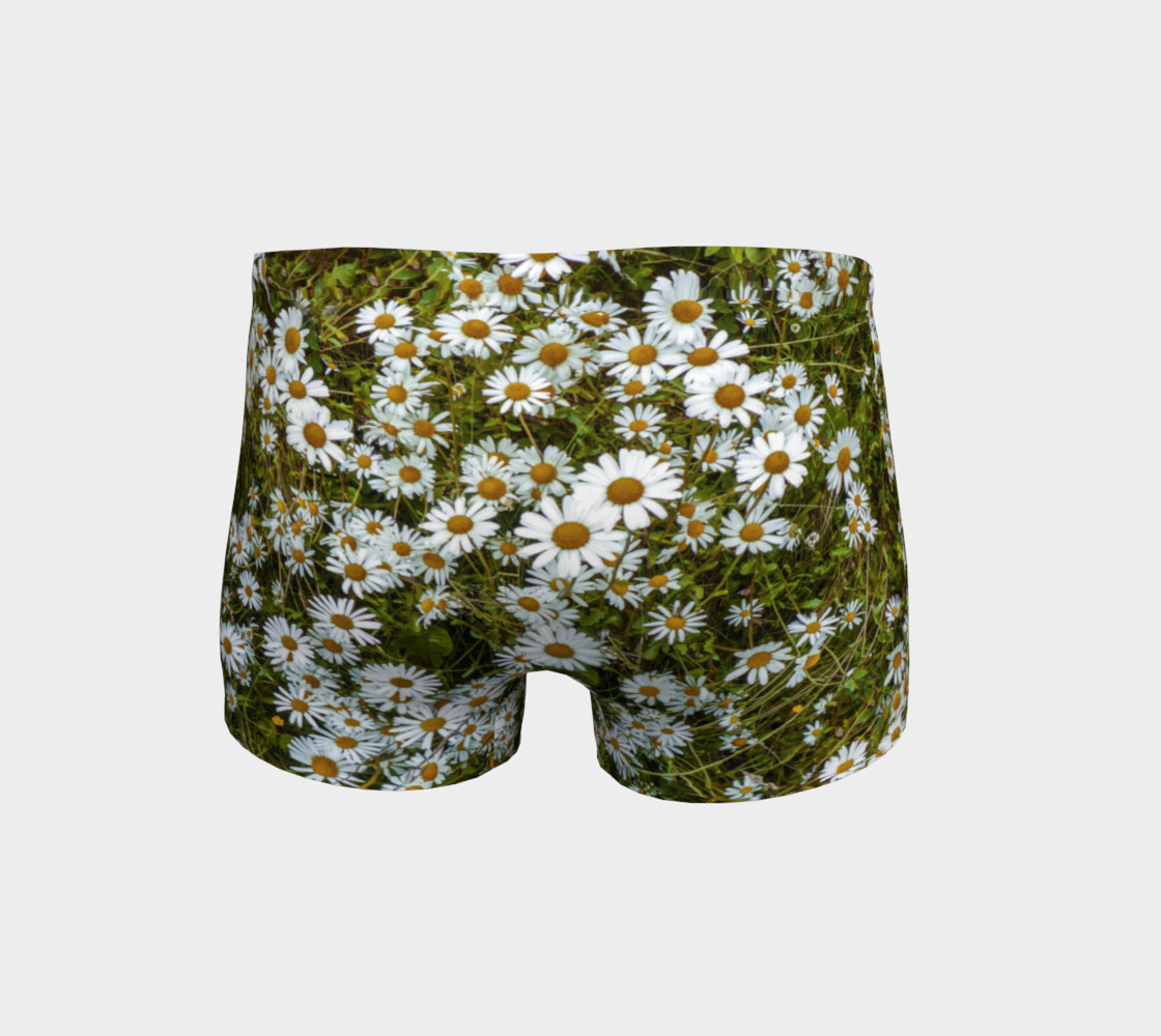 Daisy Field preview #4