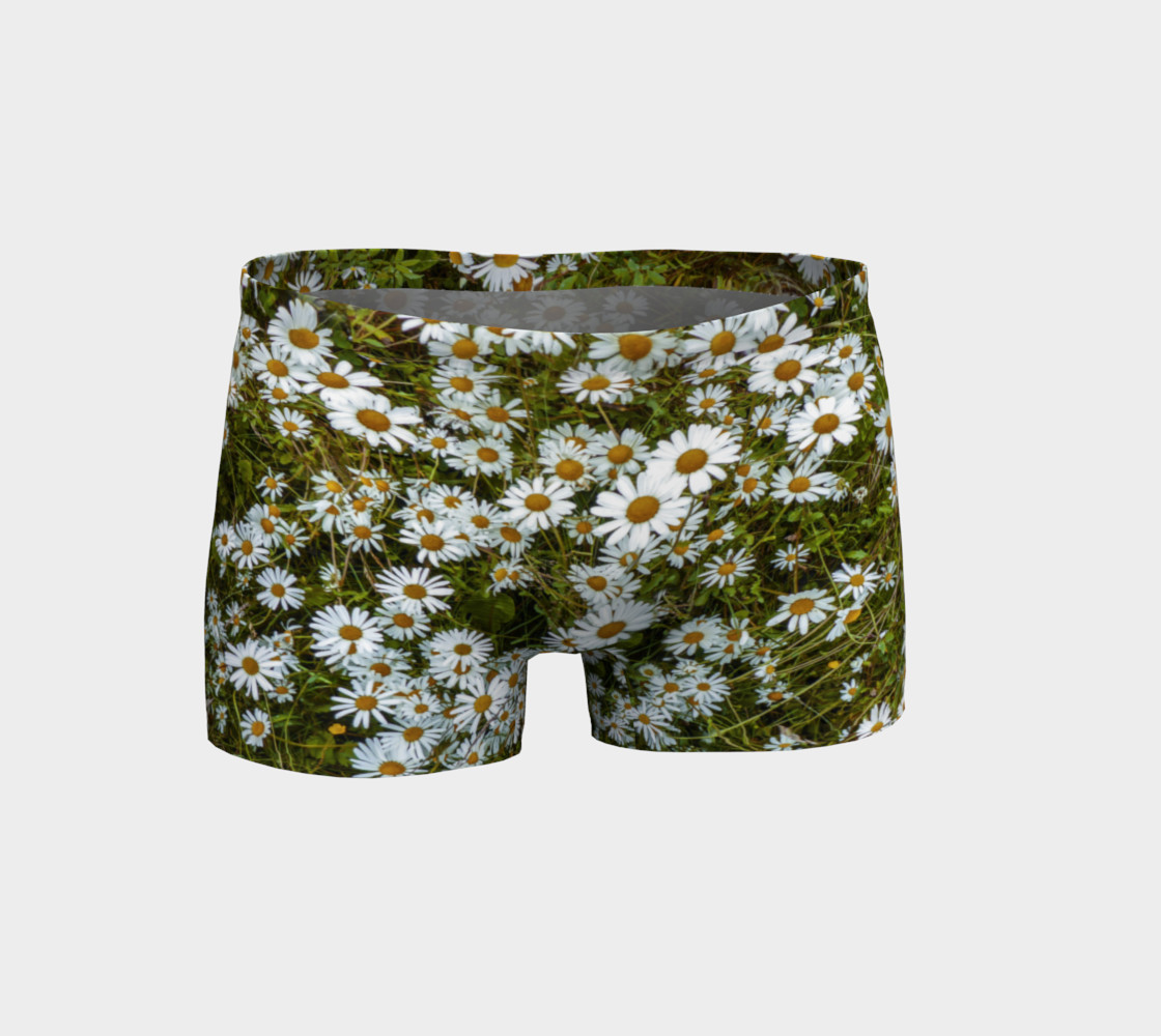 Daisy Field preview #1