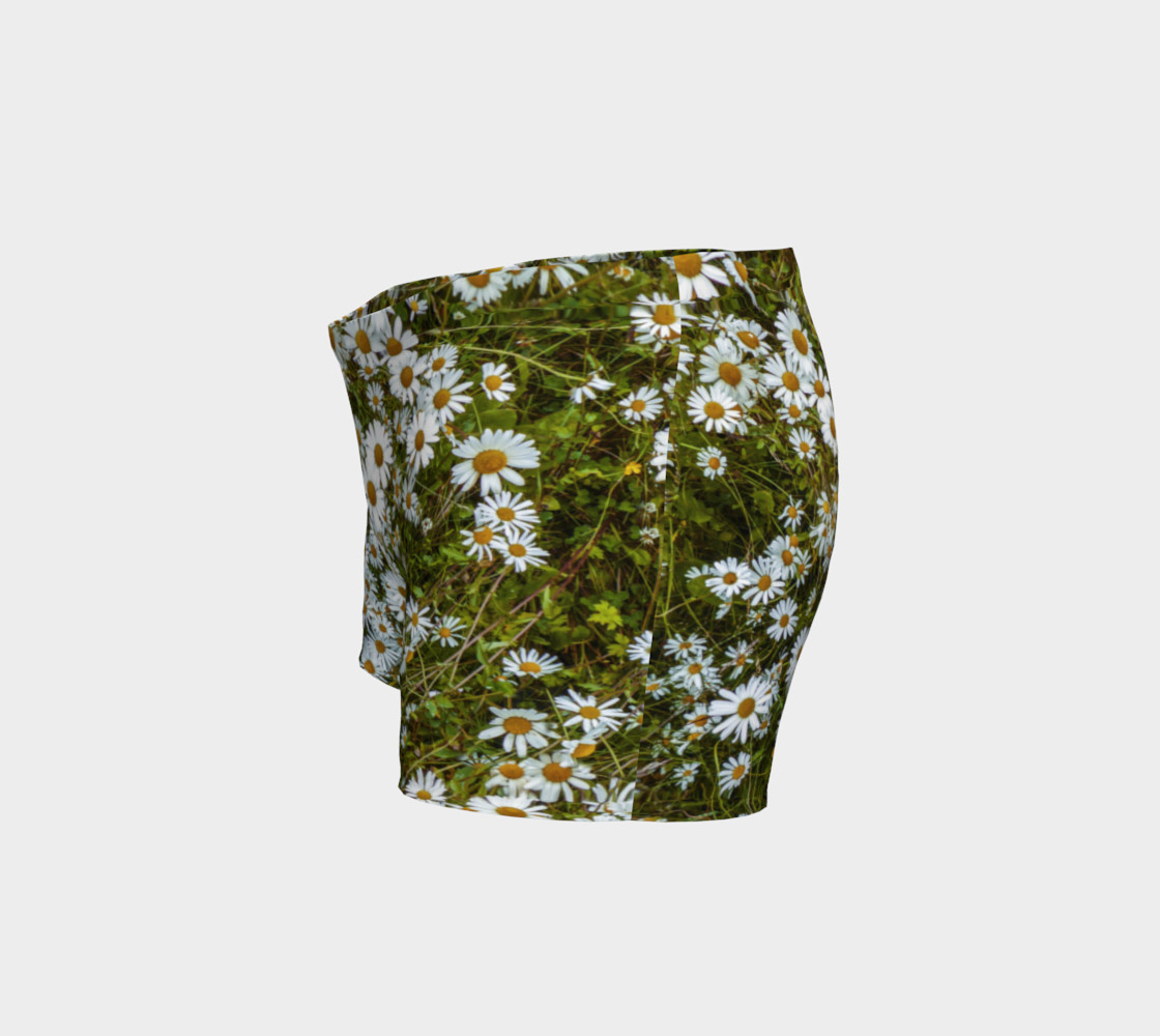 Daisy Field preview #2