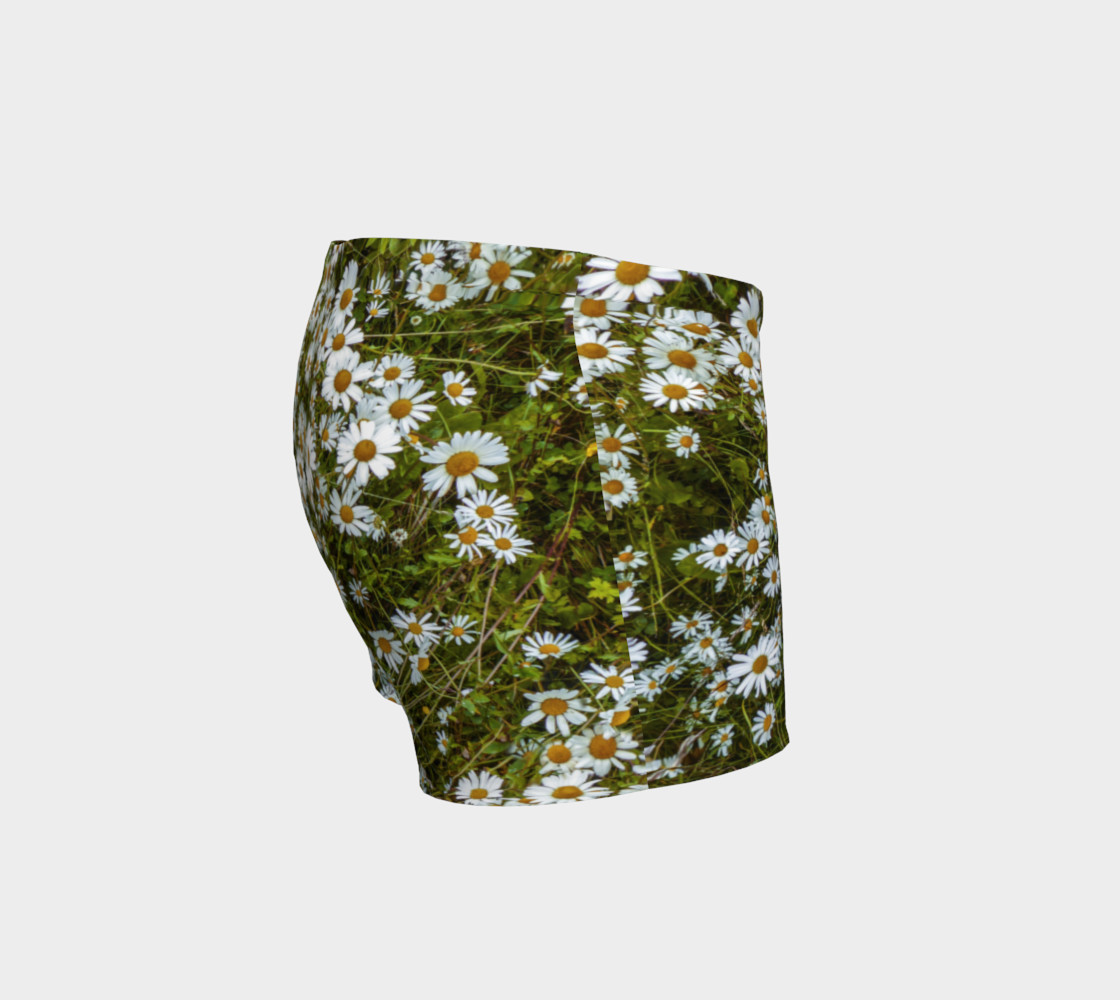 Daisy Field preview #3