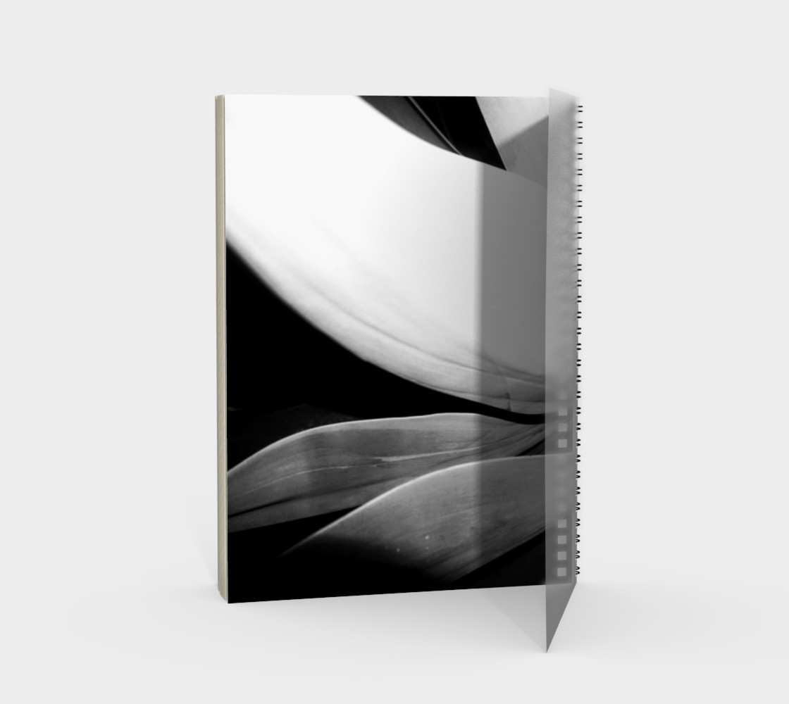 Large Palm preview #2