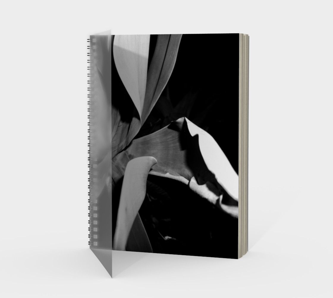 Large Palm preview #1
