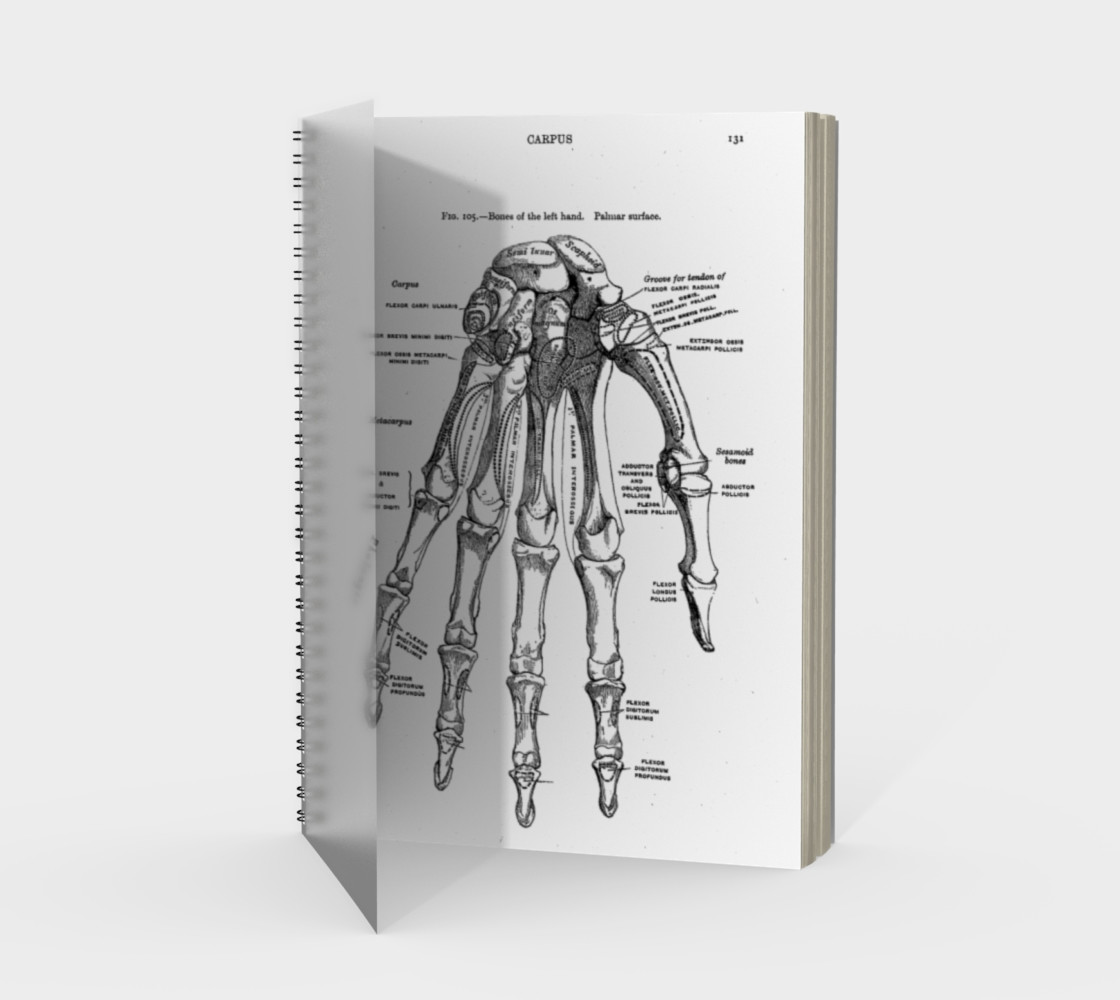 Bones of the Left Hand Spiral Book 3D preview