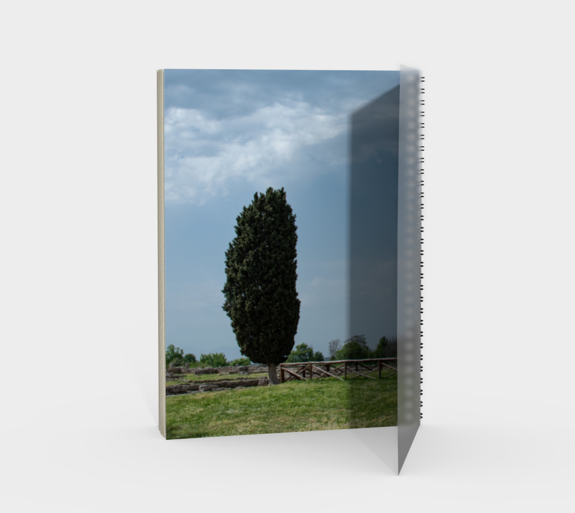 Utterly Italy Paestum Notebook preview #2