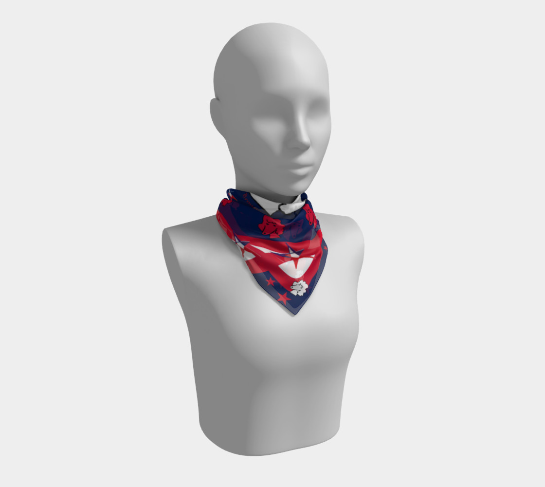 Poodle Patriotic by Broussalian preview #1