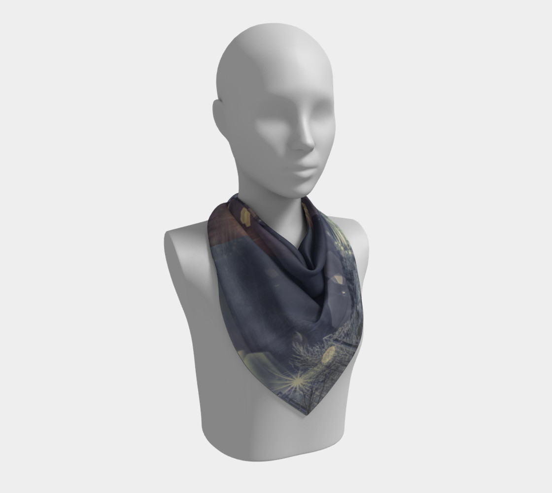 Sommet Edelweiss hiver 2013 preview #2