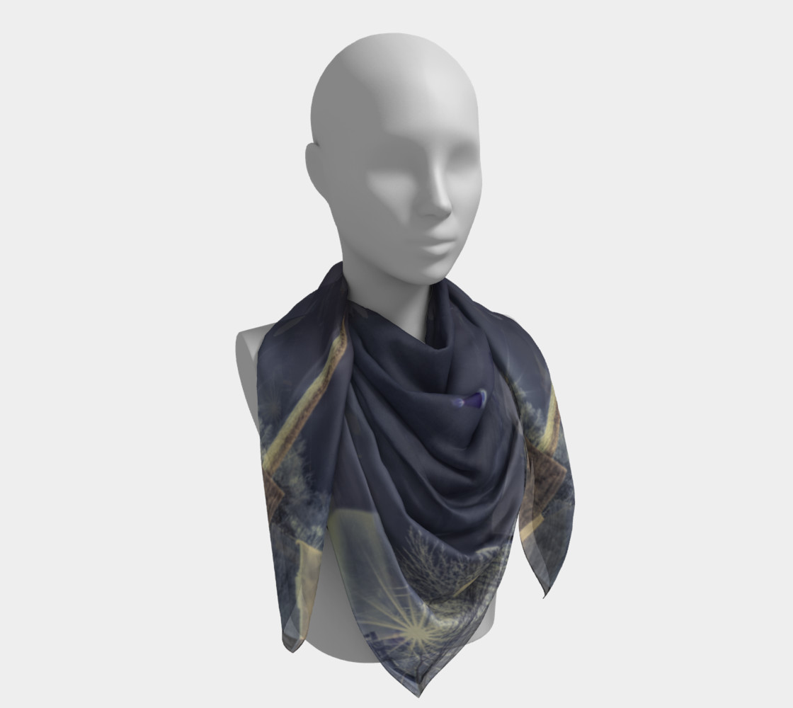 Sommet Edelweiss hiver 2013 preview #4