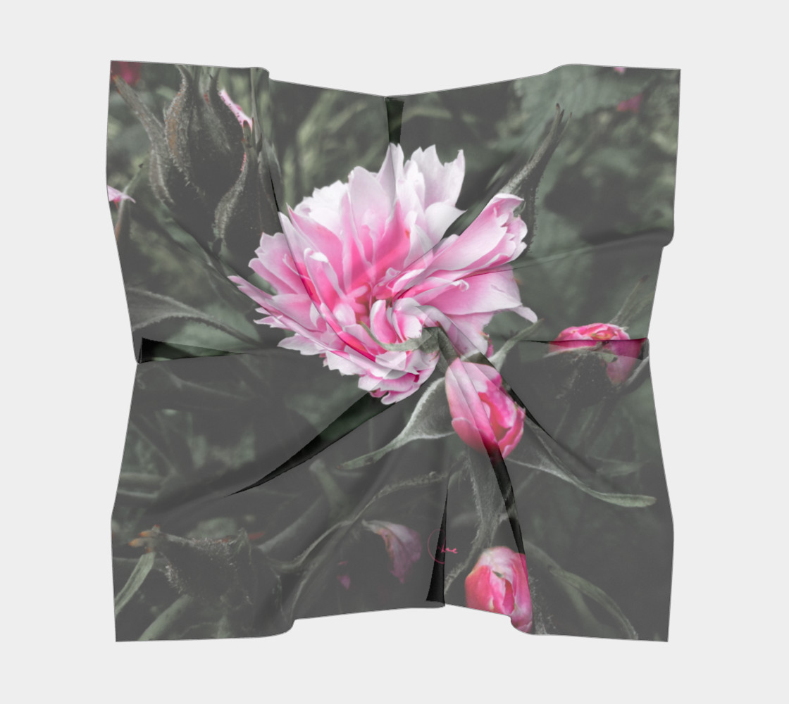 Roses Sauvages preview #5