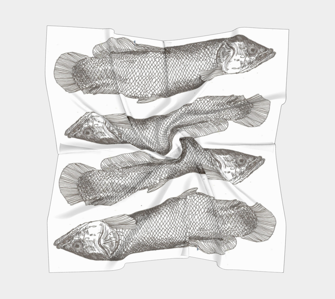 Coelacanths preview #5