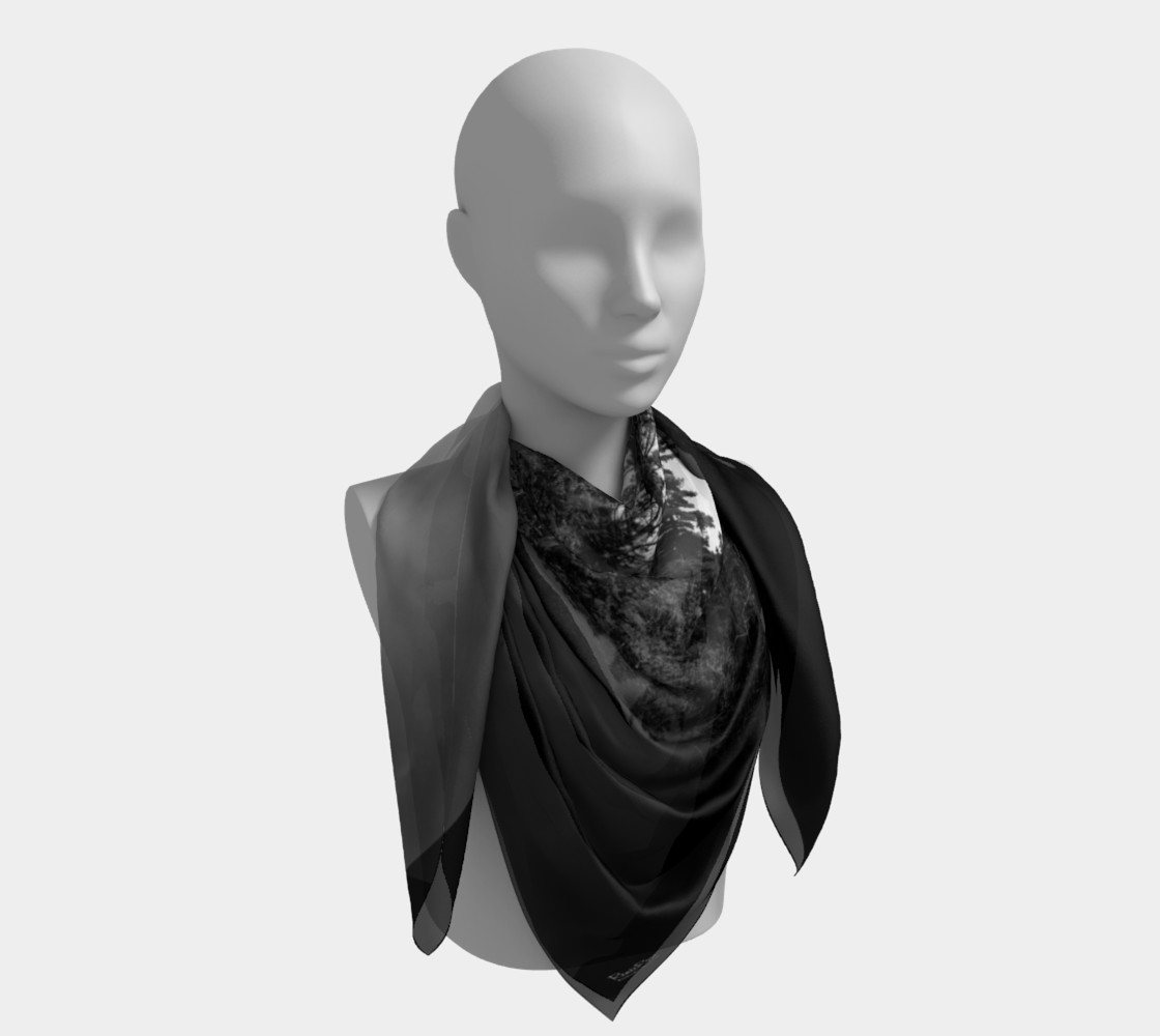 Vaisseau Boréal preview #4