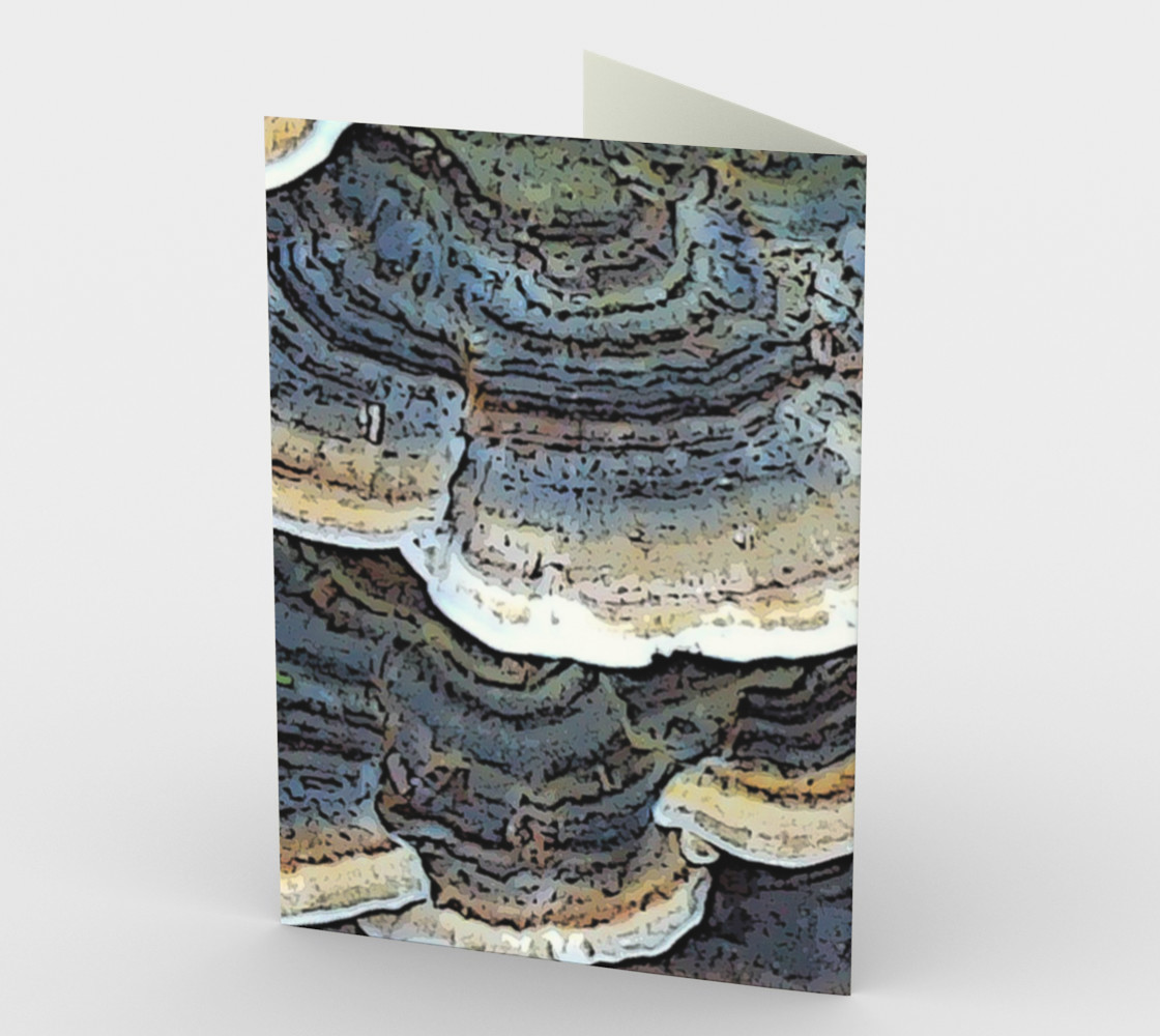 Turkey Tail Fungi preview #2