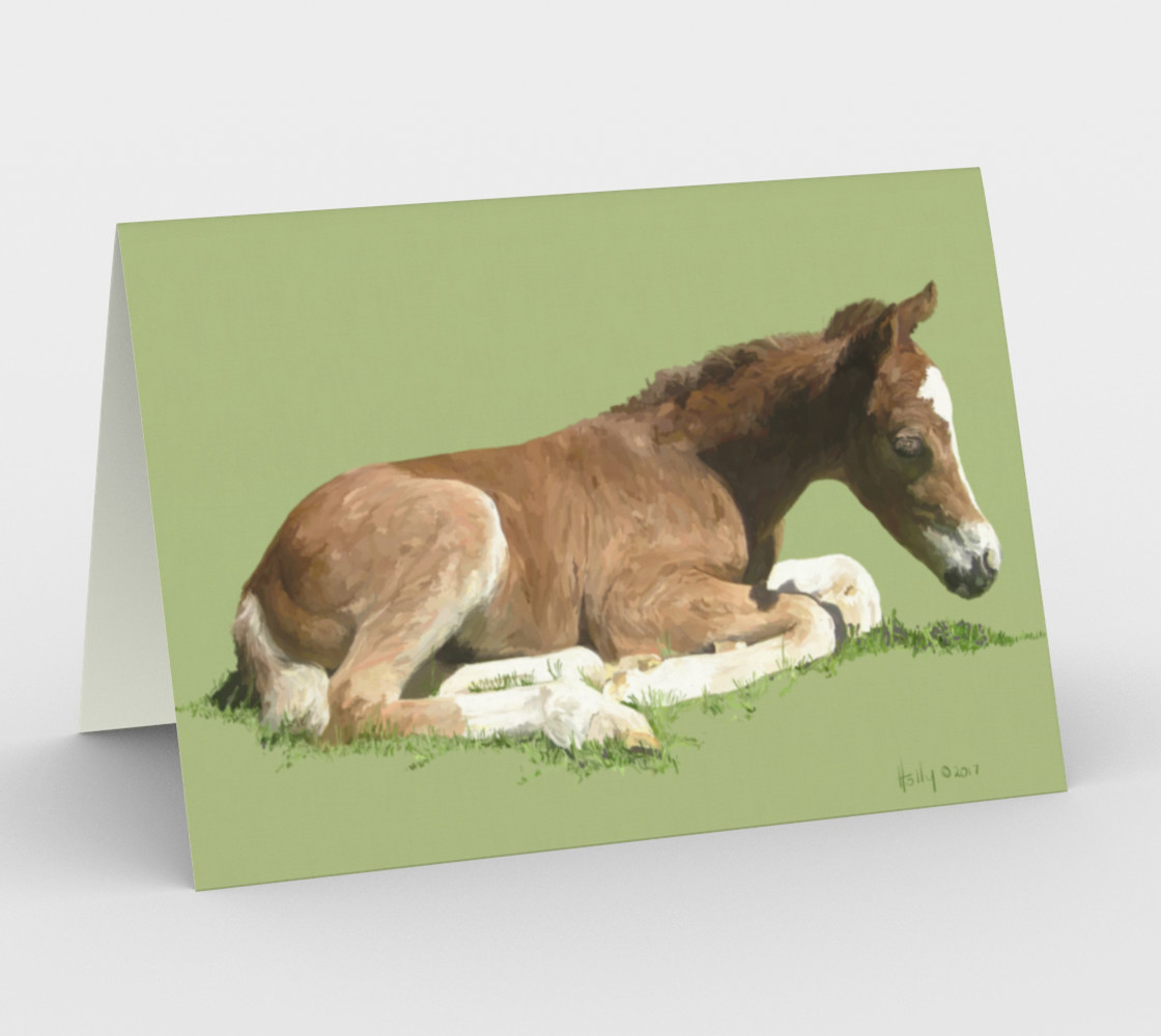 Aperçu de Welsh Pony foal #1