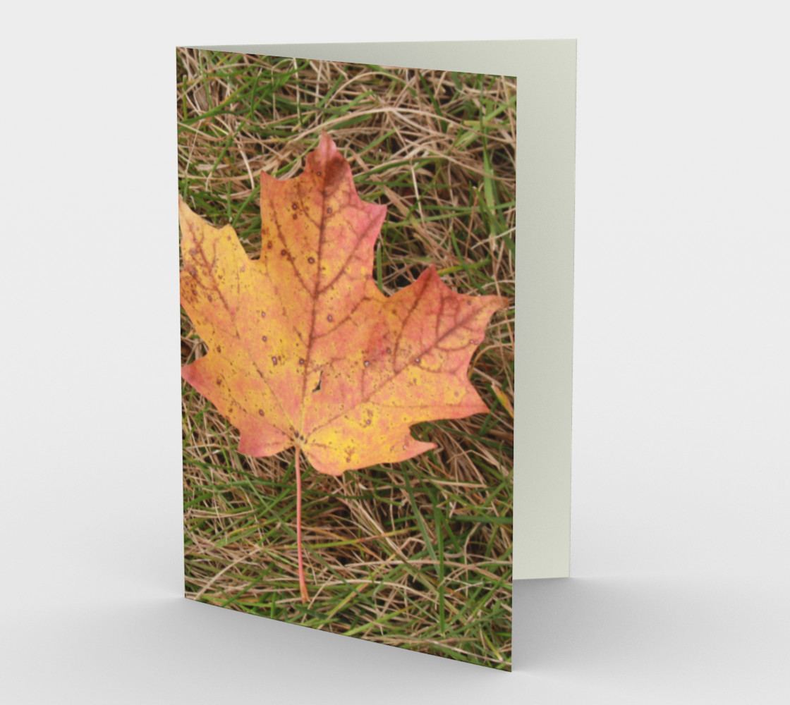 Maple Leaf preview #1