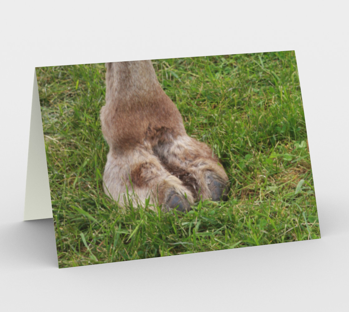 Aperçu de Camel Toes #1