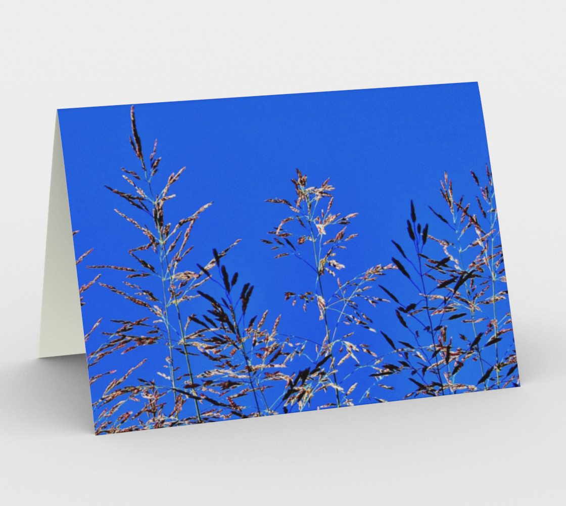 Aperçu de Hay Reaching to Blue Sky 6409 L #1