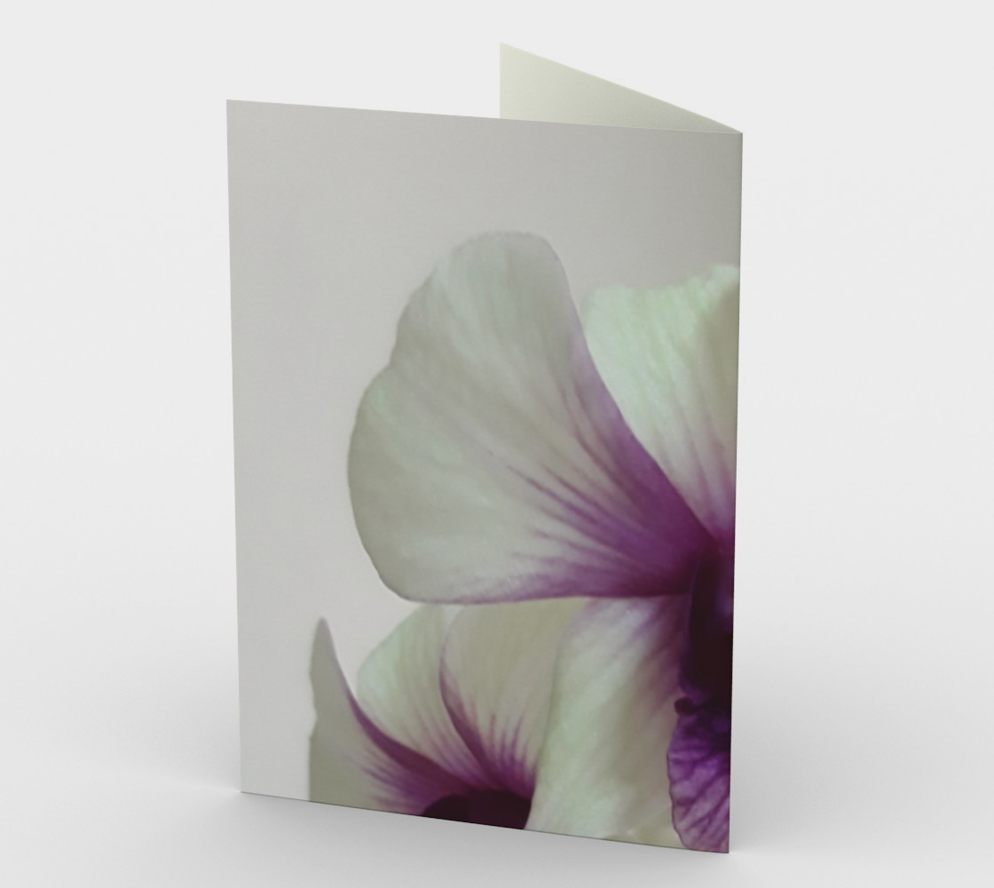 Fresh orchids. preview #2