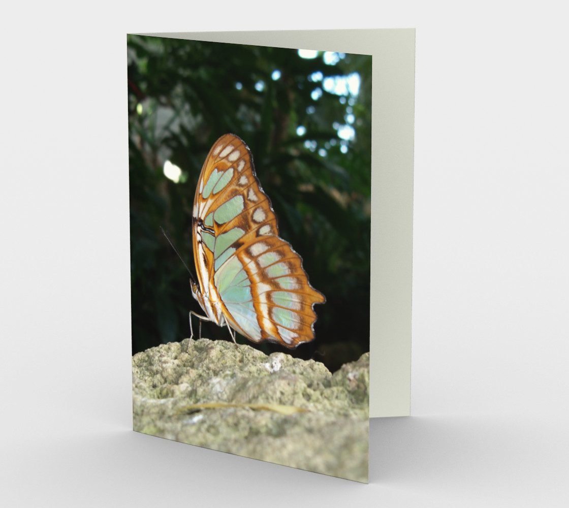 Aperçu 3D de Malachite Butterfly Card