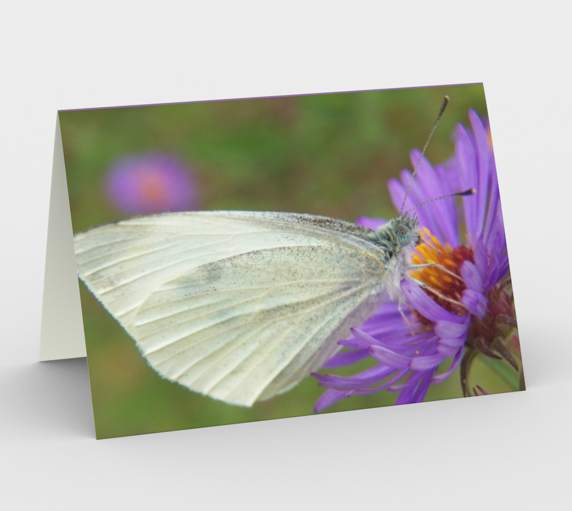 Aperçu de White Cabbage Butterfly Card #1