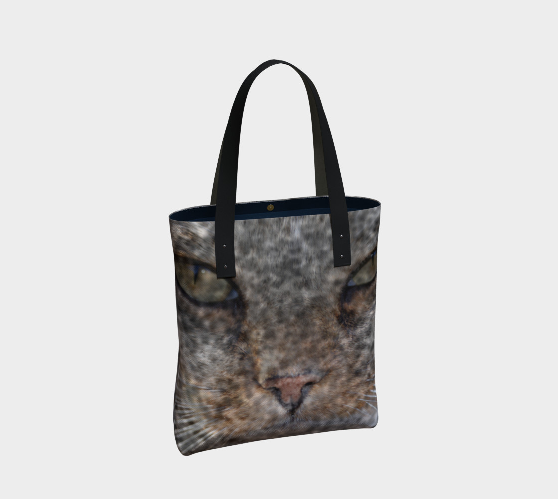 catty preview #2
