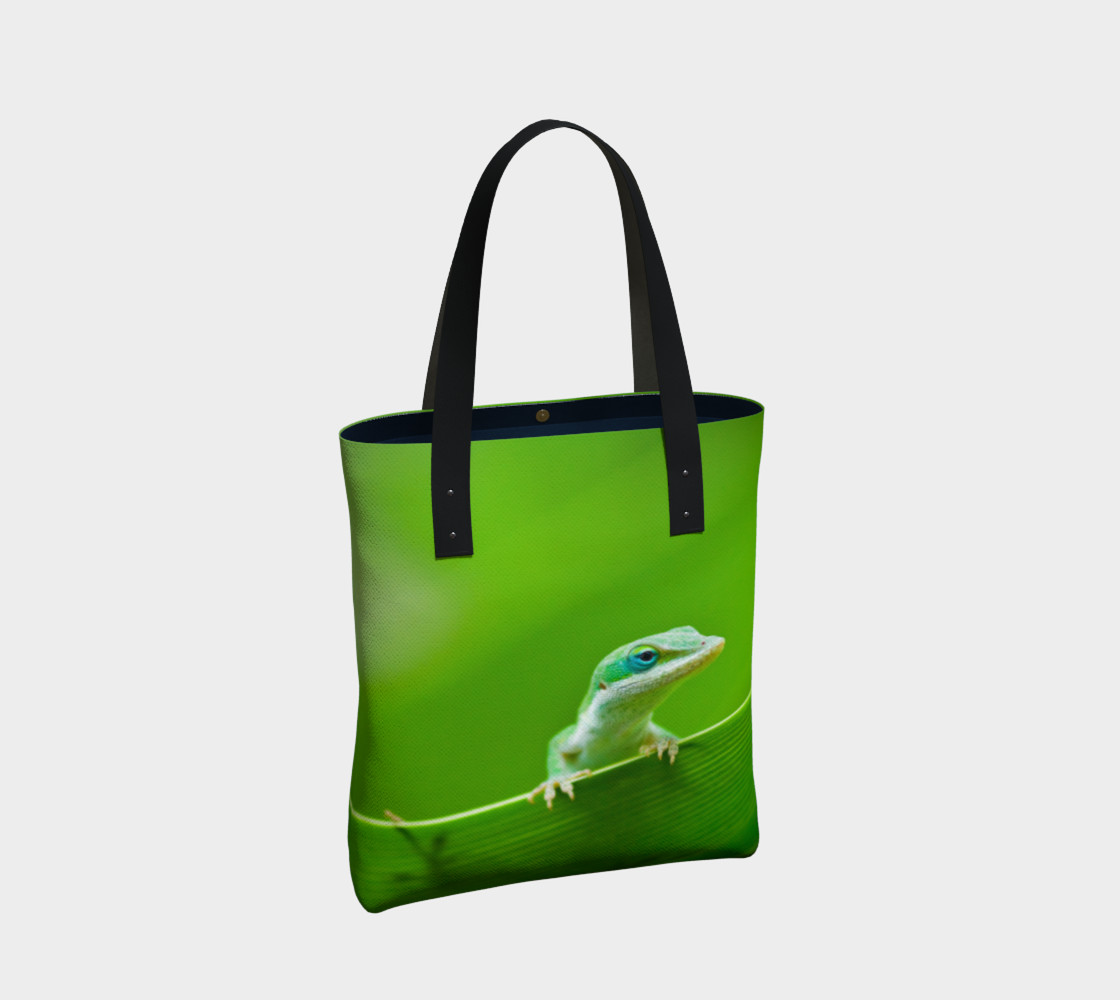 Aperçu de Anole verte / Green Anole #2