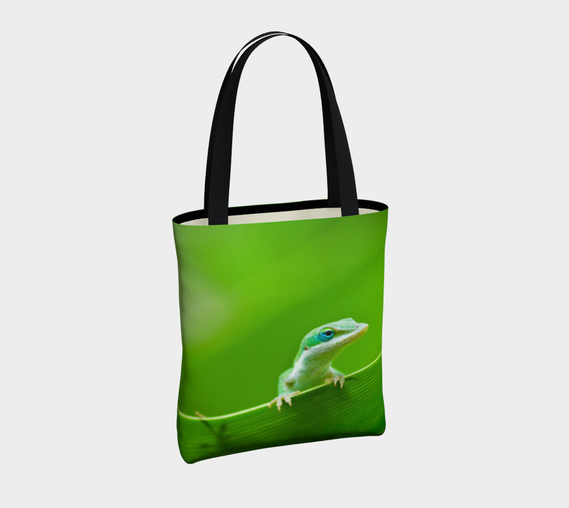 Aperçu de Anole verte / Green Anole #4